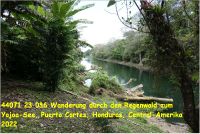 44071 23 036 Wanderung durch den Regenwald zum Yojoa-See, Puerto Cortes, Honduras, Central-Amerika 2022.jpg